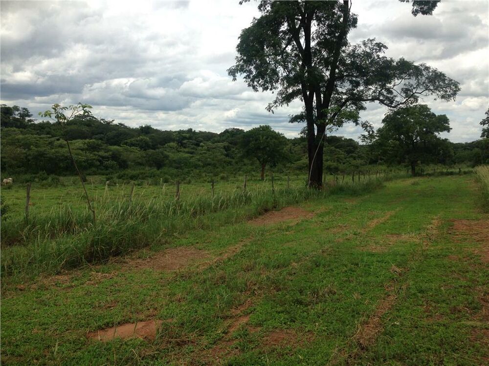 Fazenda à venda com 4 quartos, 847000m² - Foto 10