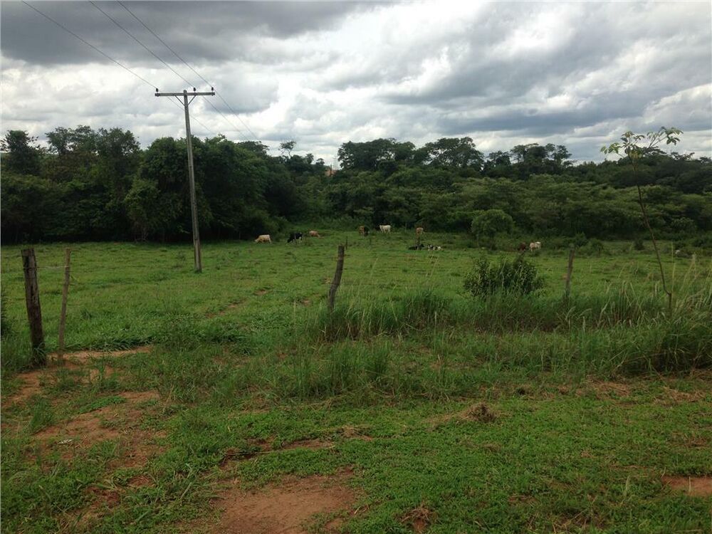 Fazenda à venda com 4 quartos, 847000m² - Foto 9