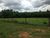 Fazenda-Sítio-Chácara, 85 hectares - Foto 8
