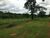 Fazenda-Sítio-Chácara, 85 hectares - Foto 10