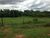 Fazenda-Sítio-Chácara, 85 hectares - Foto 9