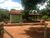 Fazenda-Sítio-Chácara, 85 hectares - Foto 5