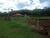 Fazenda-Sítio-Chácara, 85 hectares - Foto 7