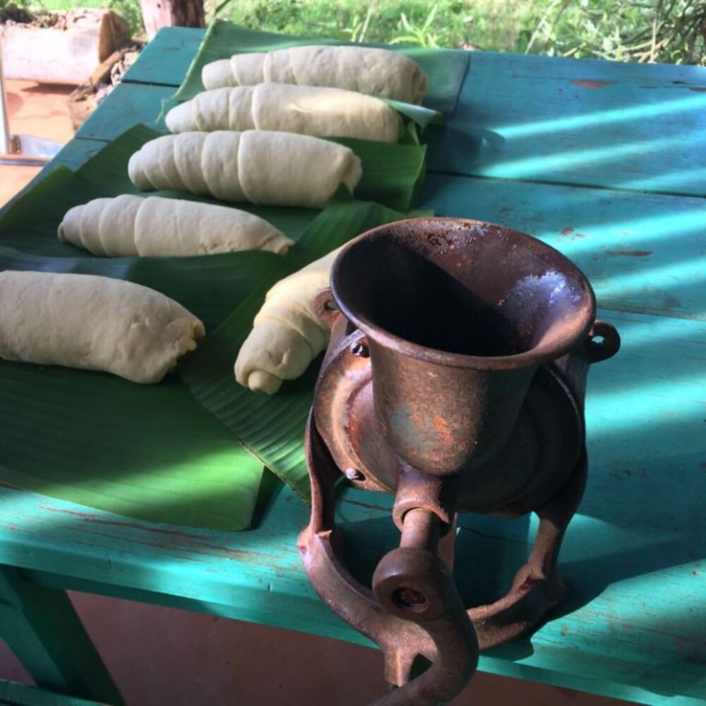 Sítio, 4 quartos, 5 hectares - Foto 3