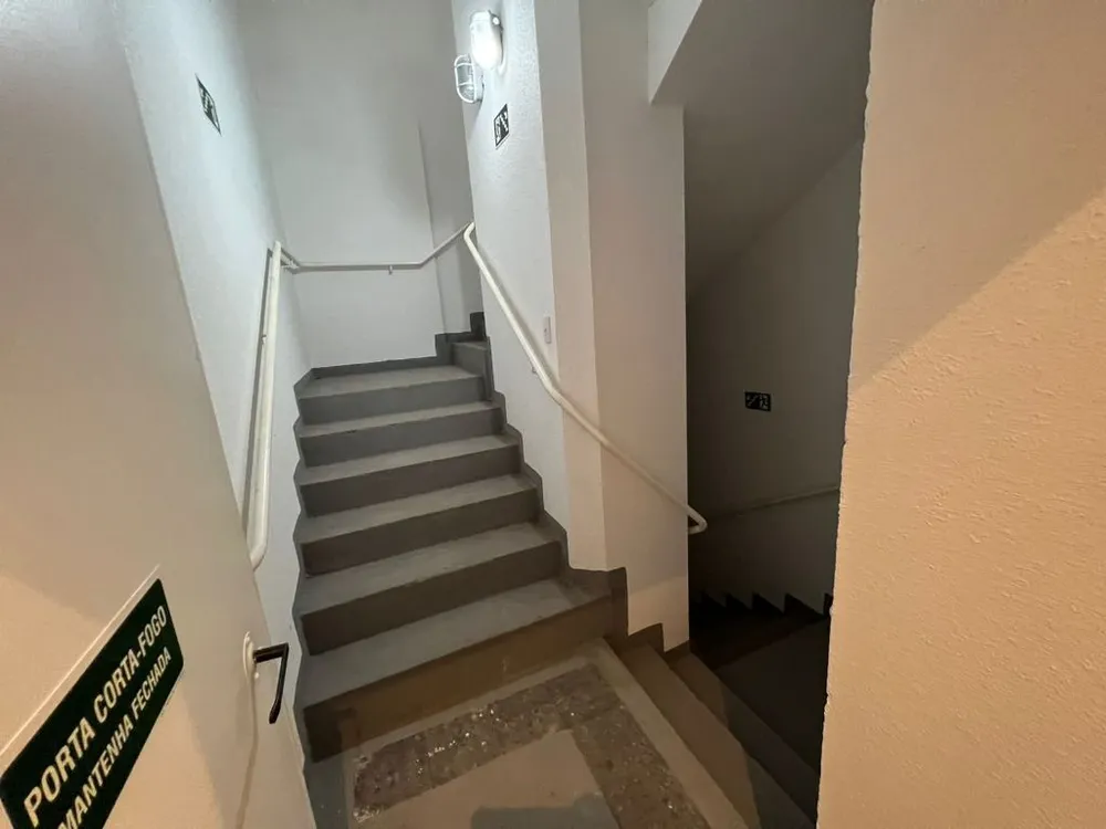Sala-Conjunto, 260 m² - Foto 3