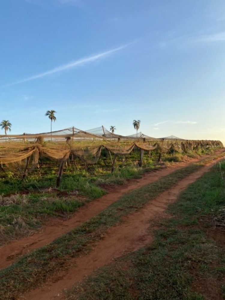 Terreno, 15 m² - Foto 4