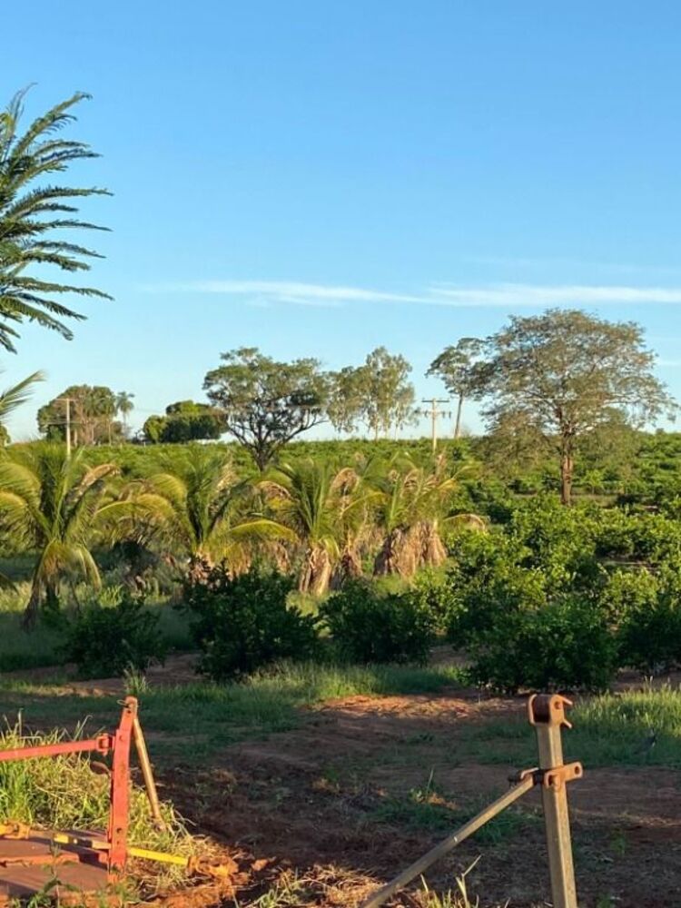 Terreno, 15 m² - Foto 8