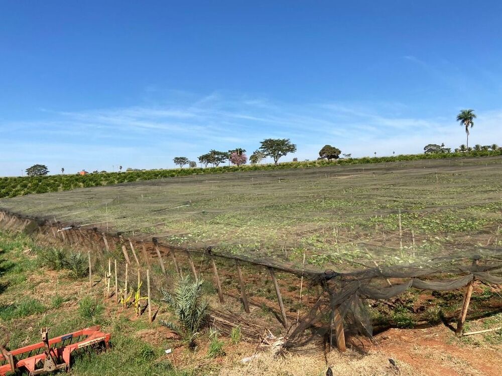 Terreno, 15 m² - Foto 1