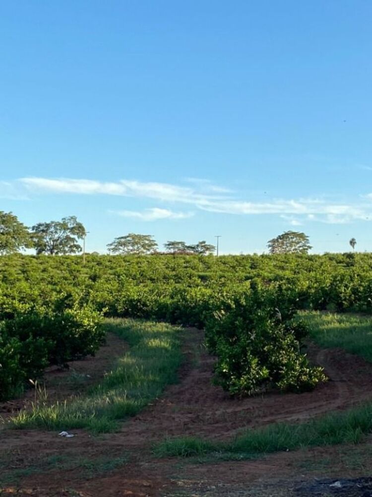 Terreno, 15 m² - Foto 11