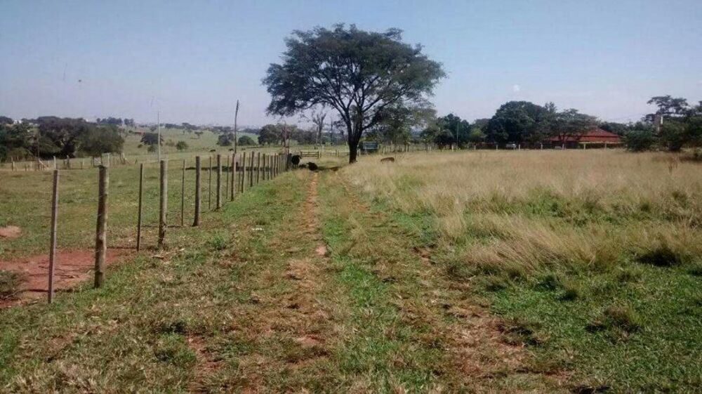 Sítio à venda com 3 quartos, 20100m² - Foto 5
