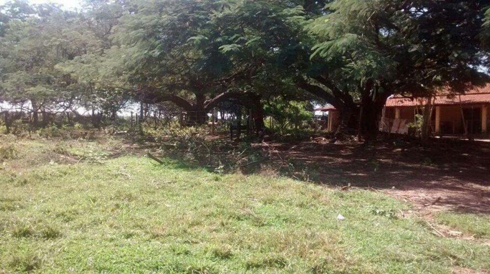 Sítio à venda com 3 quartos, 20100m² - Foto 6