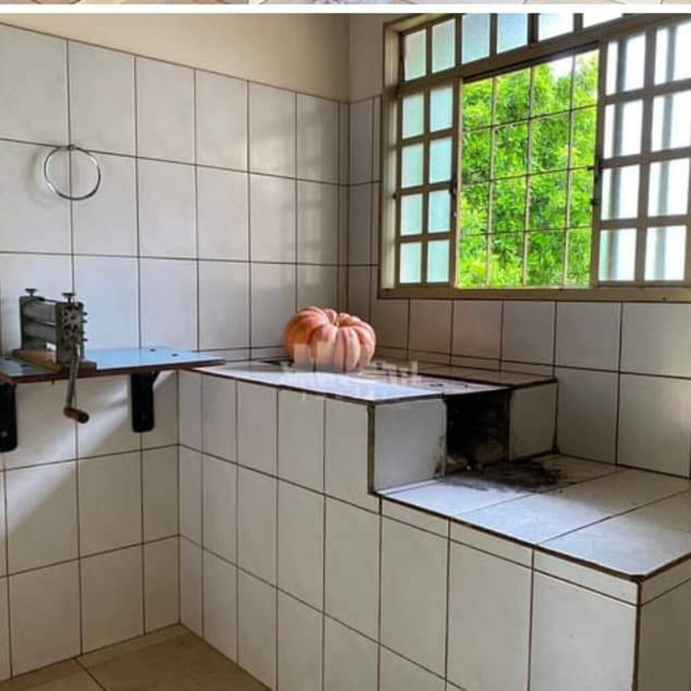 Chácara à venda com 4 quartos, 36000m² - Foto 44