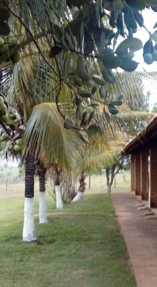 Chácara à venda com 4 quartos, 36000m² - Foto 49