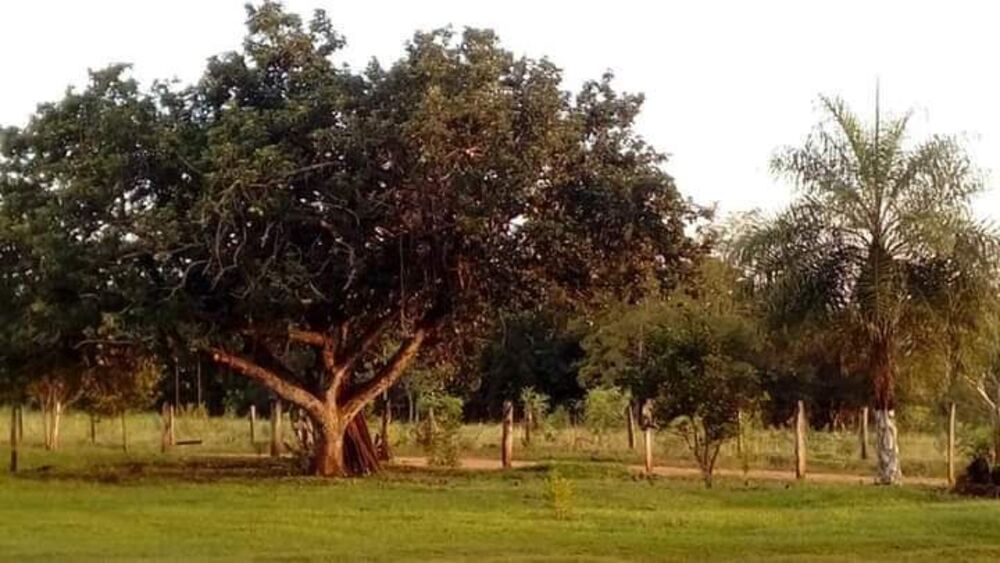 Chácara à venda com 4 quartos, 36000m² - Foto 50