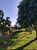Chácara, 4 quartos, 4 hectares - Foto 42