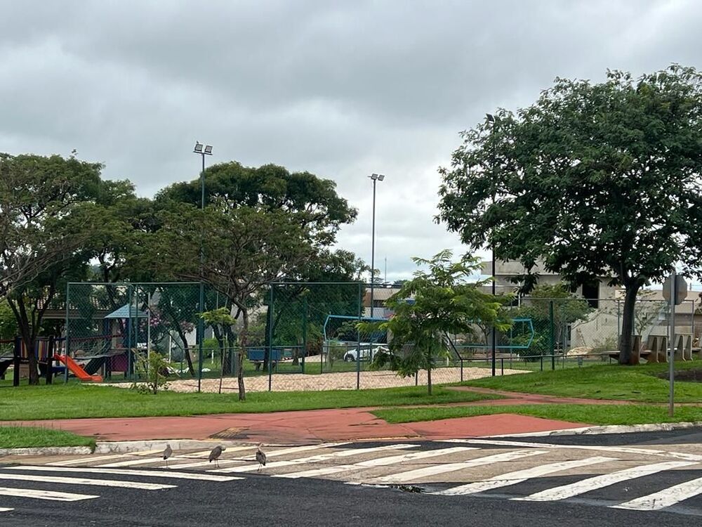 Loteamento e Condomínio, 405 m² - Foto 13