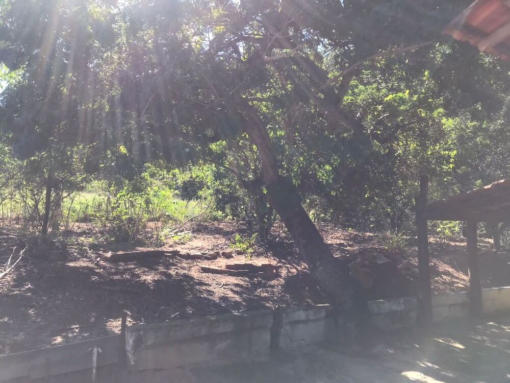 Chácara à venda com 1 quarto, 145200m² - Foto 8