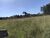 Chácara, 1 quarto, 15 hectares - Foto 4