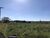 Chácara, 1 quarto, 15 hectares - Foto 2