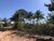 Chácara, 1 quarto, 15 hectares - Foto 10