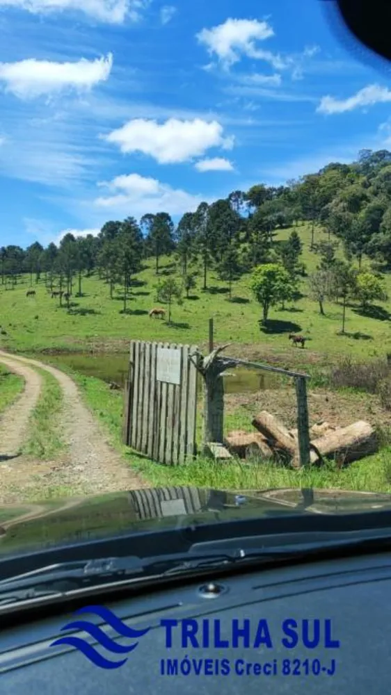 Chácara, 2500 m² - Foto 1