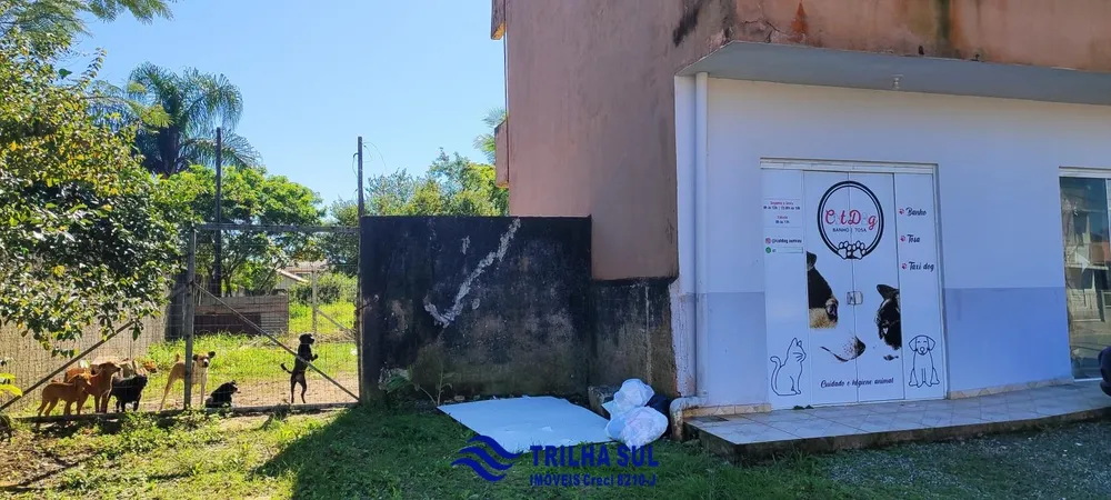 Apartamento - Foto 1