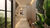 Sala-Conjunto, 39 m² - Foto 3