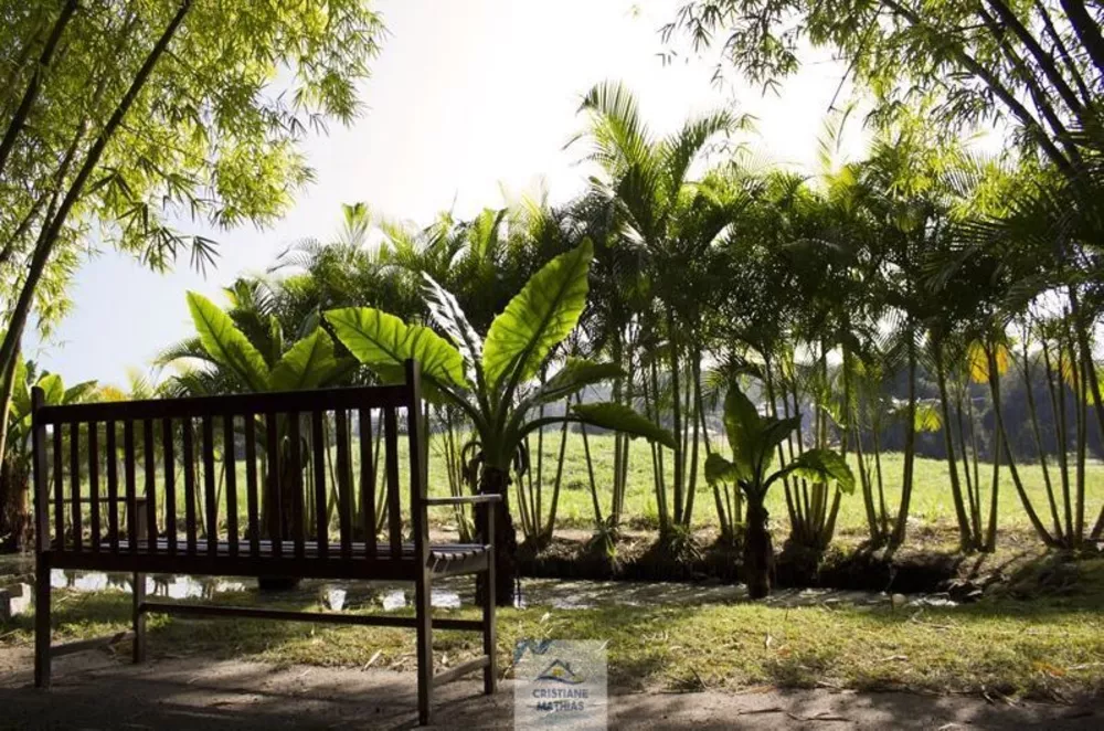 Casa, 4 quartos, 240 m² - Foto 31