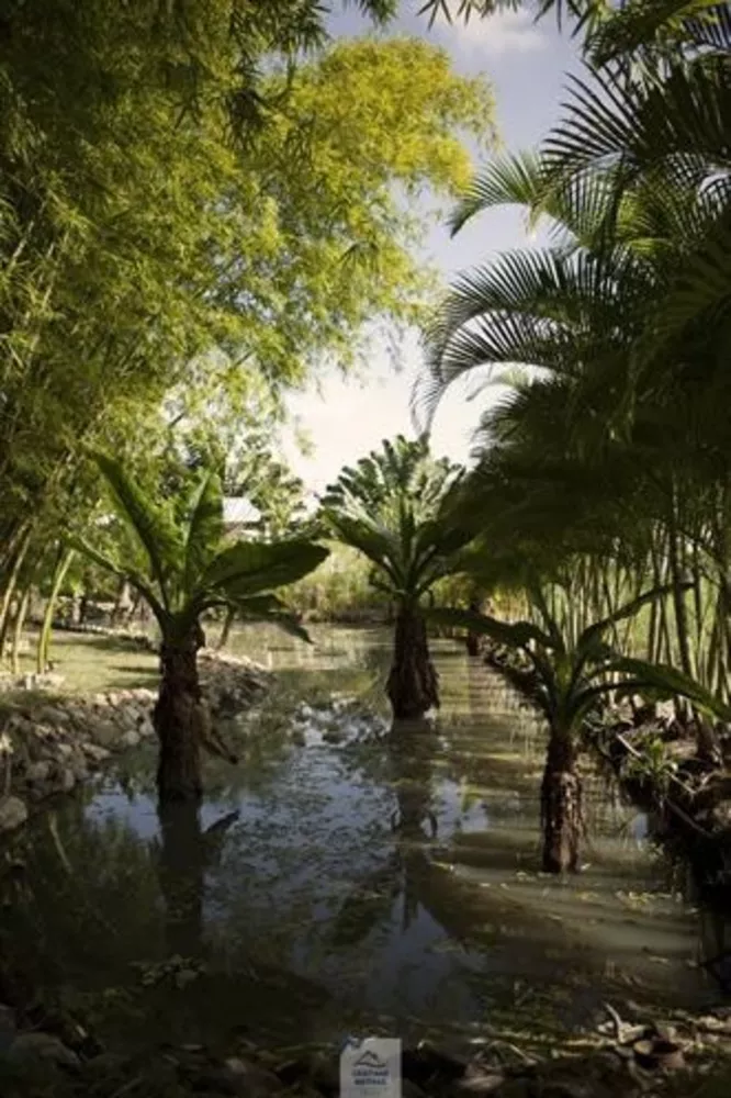 Casa, 4 quartos, 240 m² - Foto 25