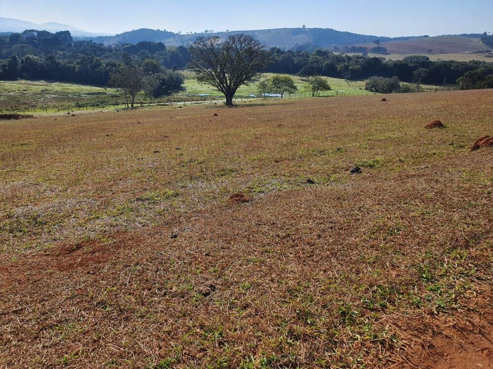 Fazenda, 152 hectares - Foto 2