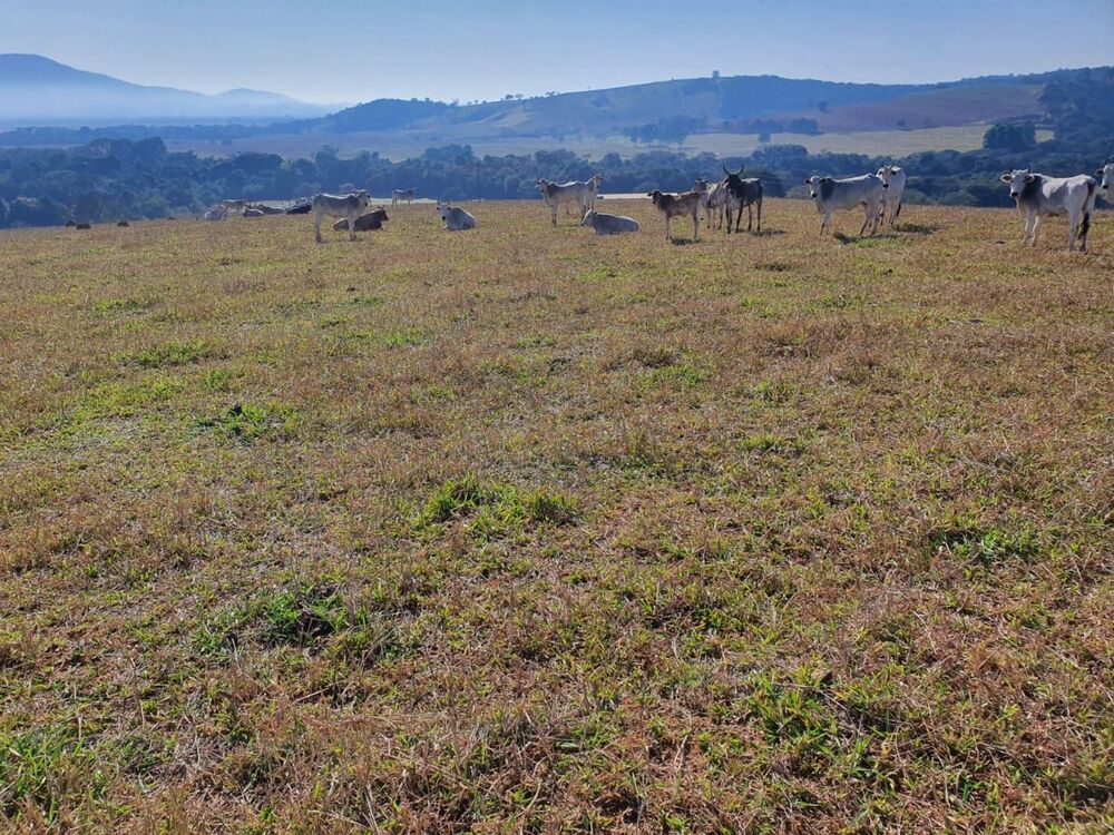 Fazenda, 152 hectares - Foto 1