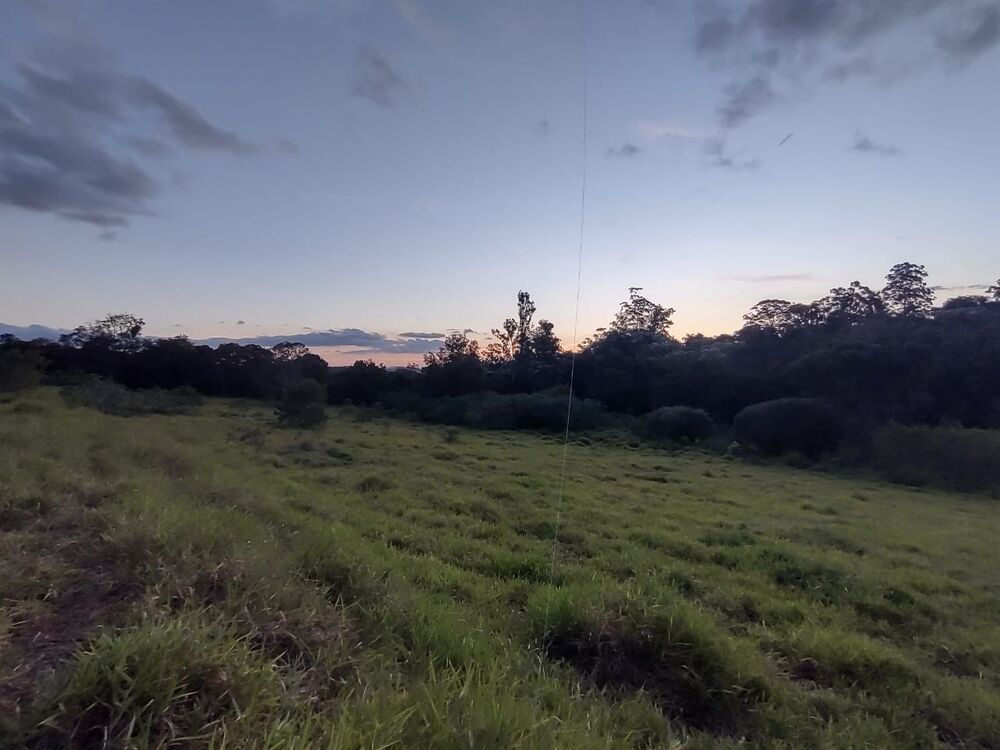 Terreno, 2 hectares - Foto 4