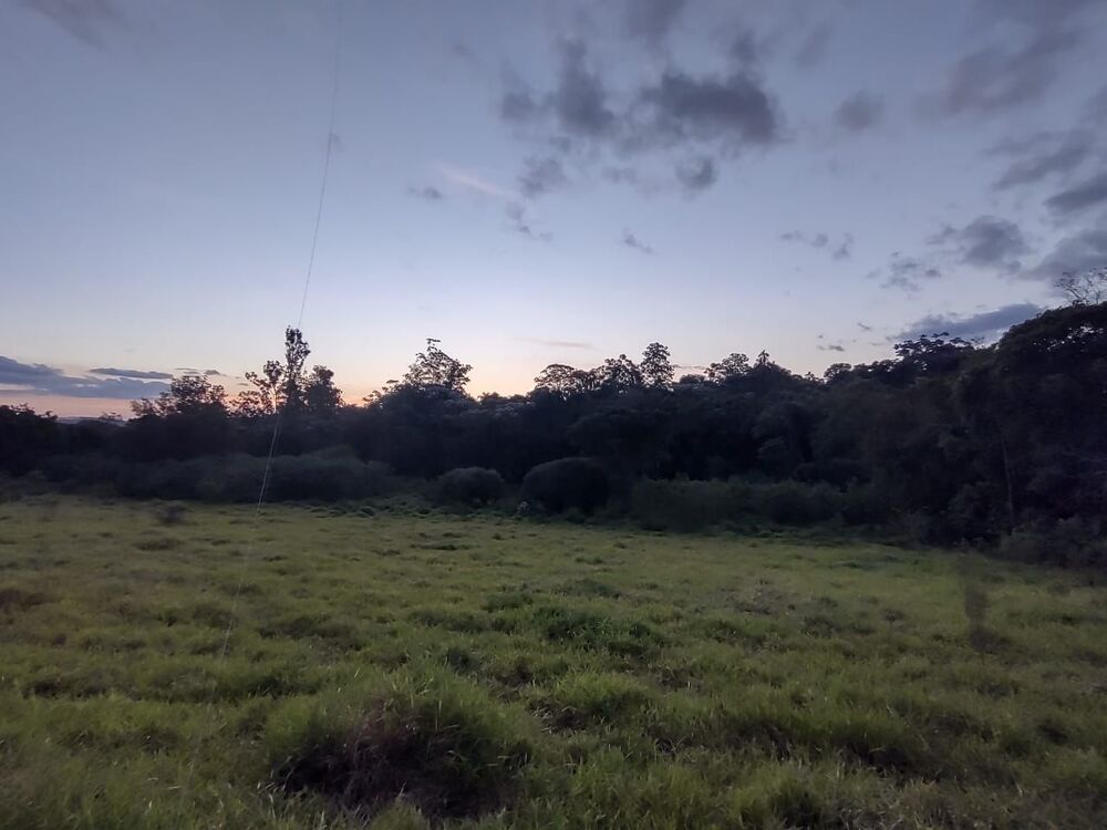 Terreno, 2 hectares - Foto 3