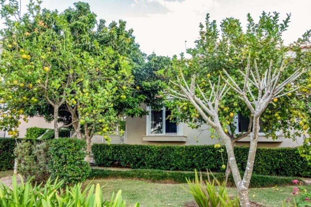 Casa, 5 quartos, 578 m² - Foto 4