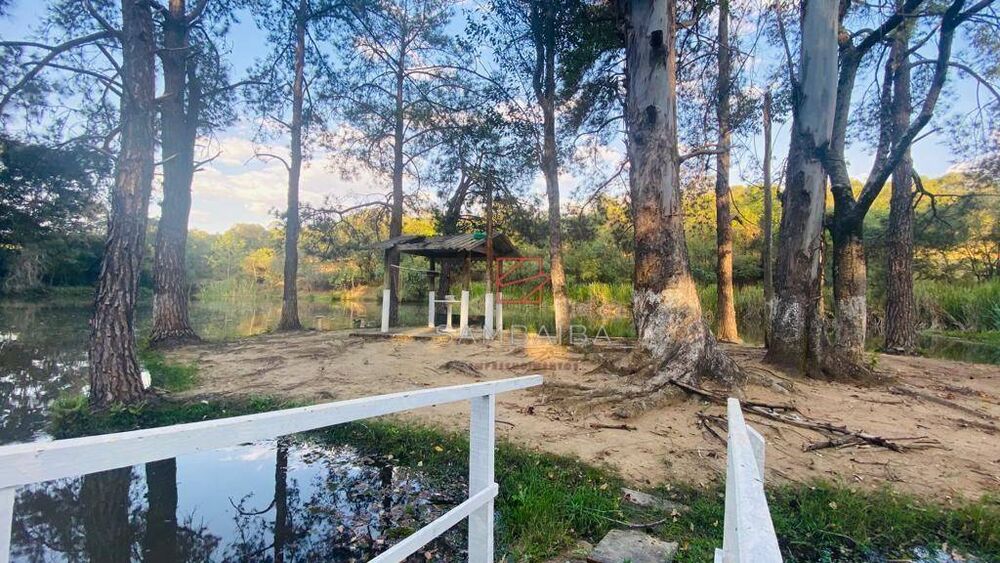 Sítio à venda com 5 quartos, 460m² - Foto 5