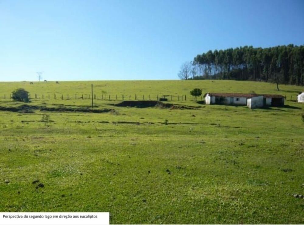 Terreno, 28 hectares - Foto 2