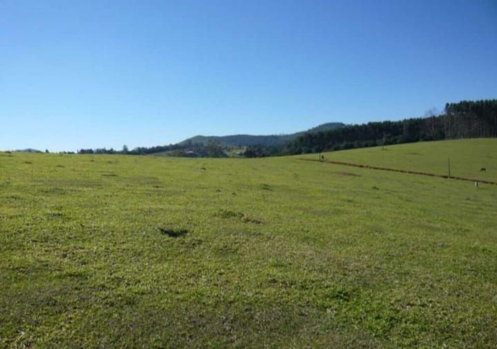 Terreno, 28 hectares - Foto 4