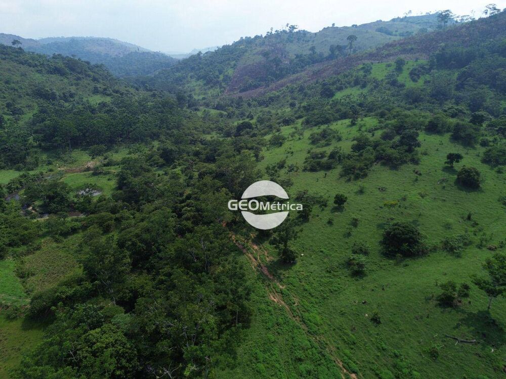Fazenda, 250 hectares - Foto 8