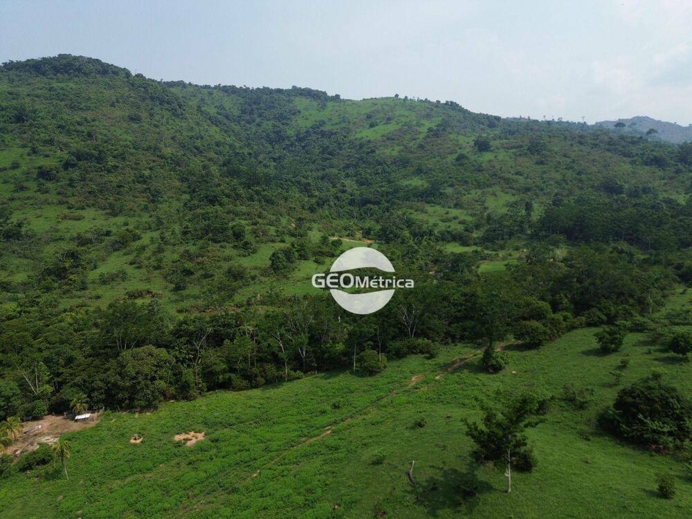 Fazenda, 250 hectares - Foto 6