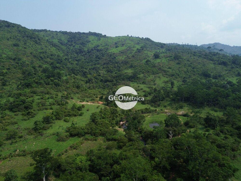 Fazenda, 250 hectares - Foto 7