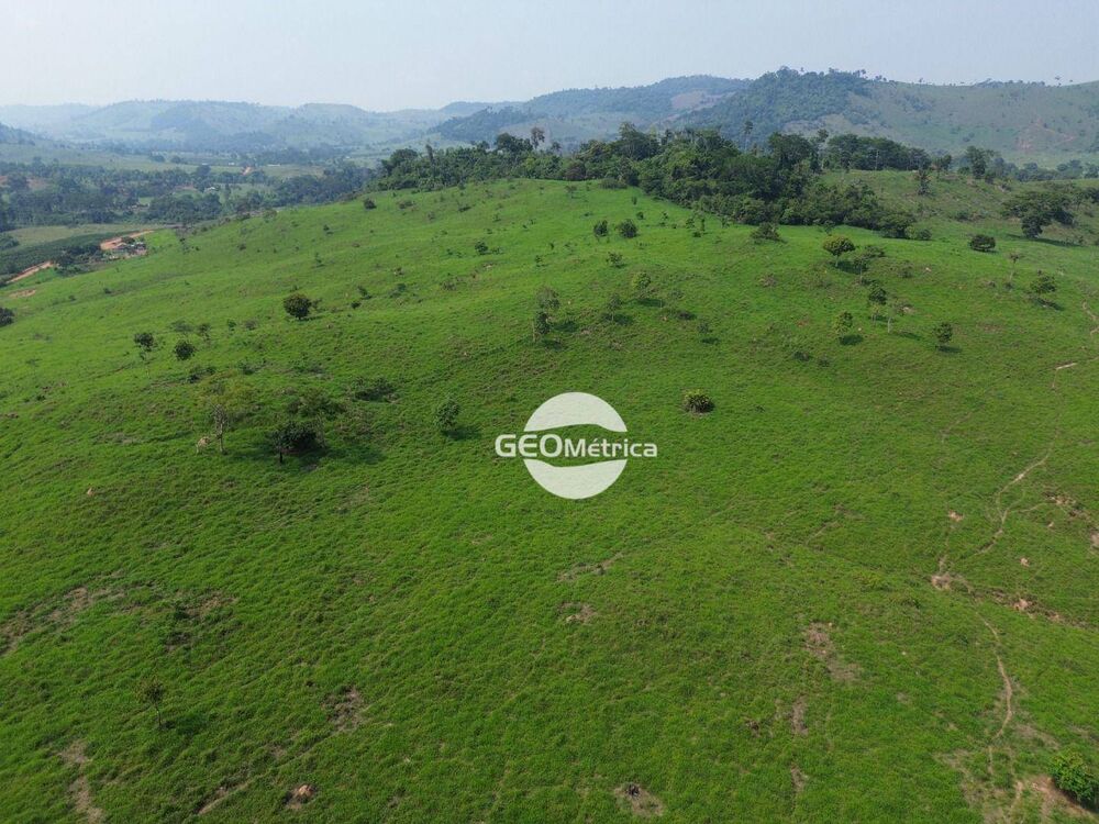 Fazenda, 250 hectares - Foto 4