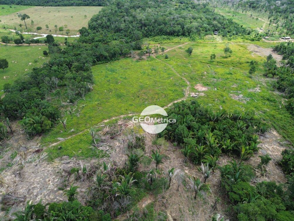 Fazenda, 94 hectares - Foto 6