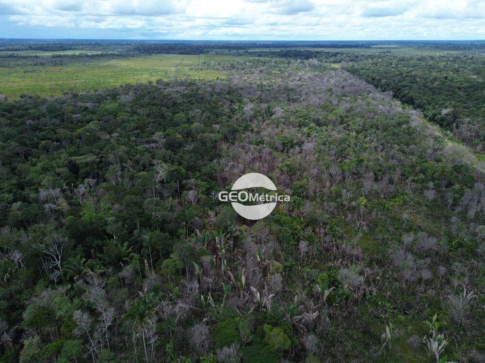 Fazenda, 94 hectares - Foto 7