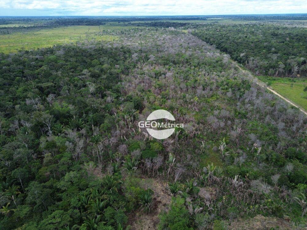 Fazenda, 94 hectares - Foto 5