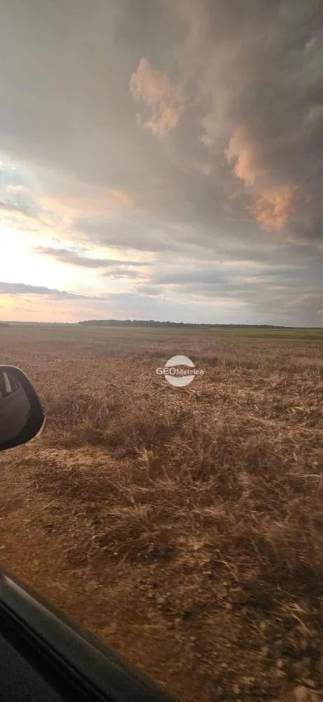 Fazenda, 659 hectares - Foto 3