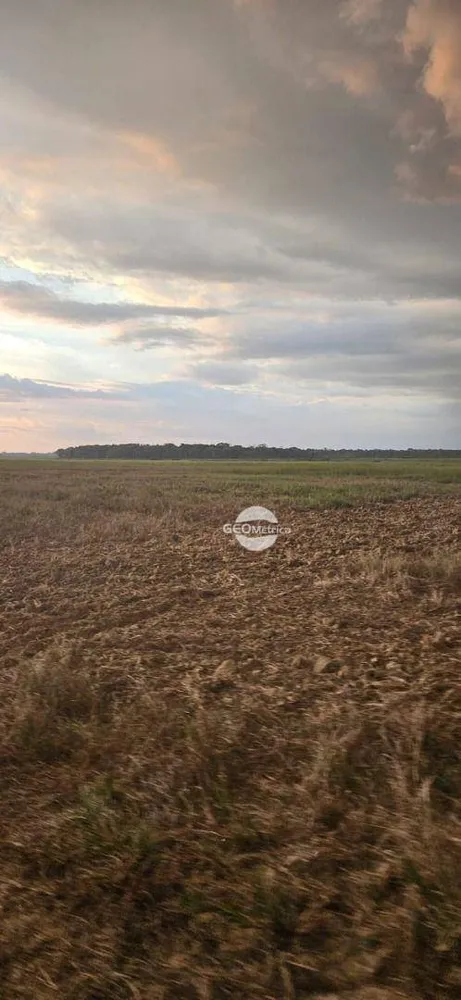 Fazenda, 659 hectares - Foto 4