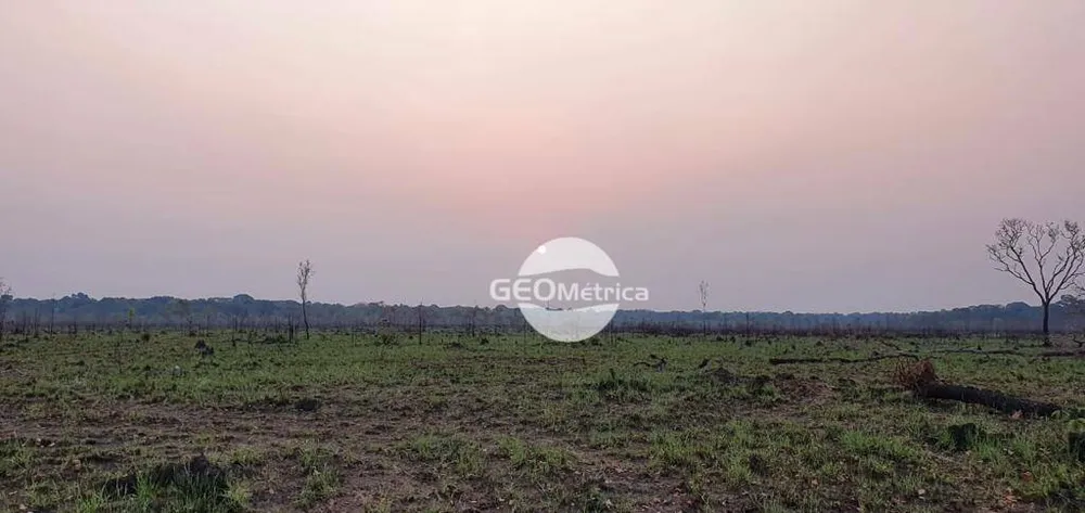 Fazenda, 659 hectares - Foto 2