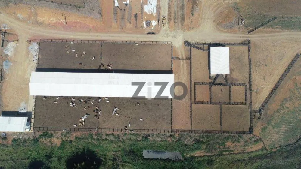 Fazenda, 257 hectares - Foto 6