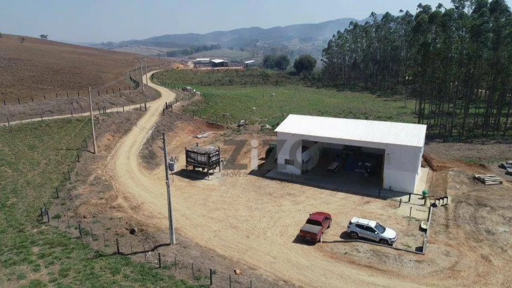 Fazenda, 257 hectares - Foto 8