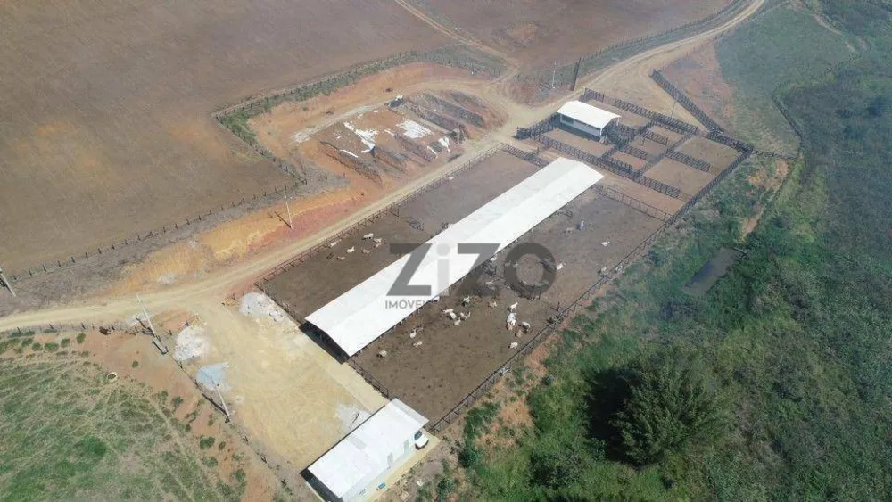 Fazenda, 257 hectares - Foto 12
